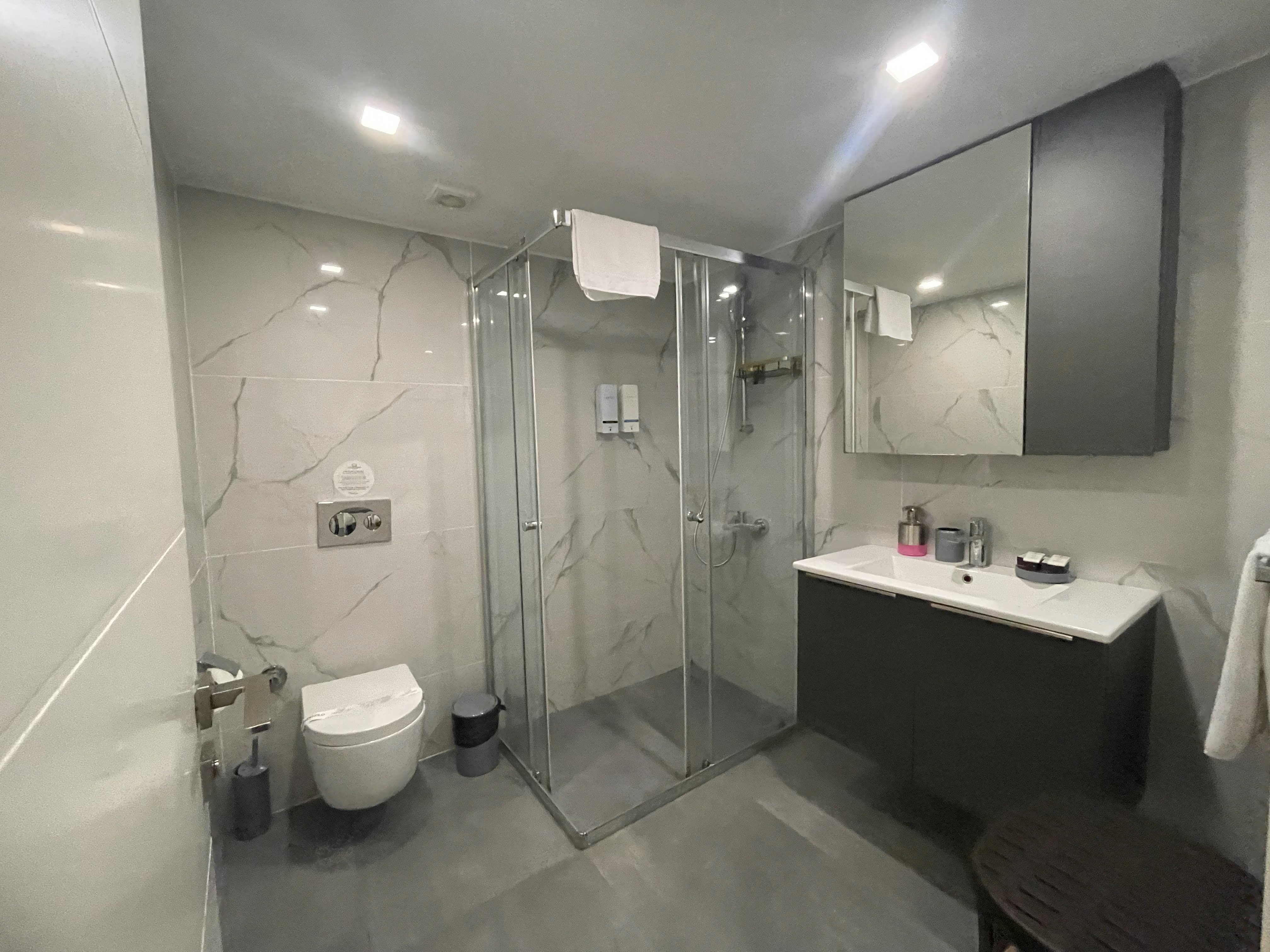 Deluxe 1+1 - Modern Bathroom